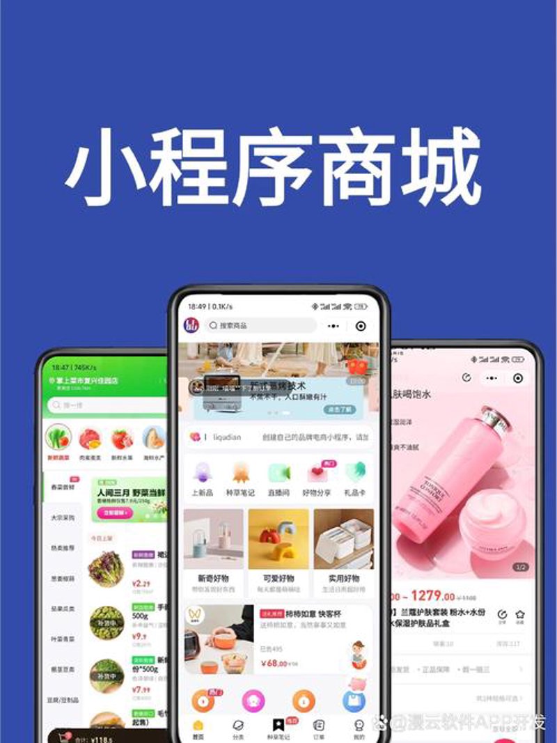 APP开发:软件界的新浪潮
